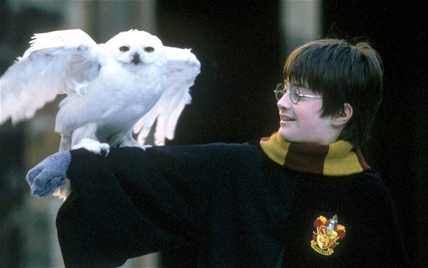 Harry Potter: "Oh Hedwig, at least you will be by my side for the entire series."